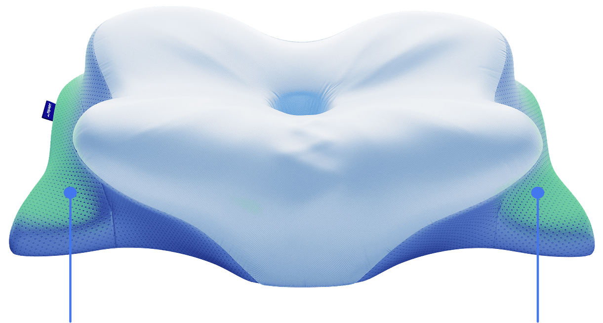 Derila Ergo Pillow